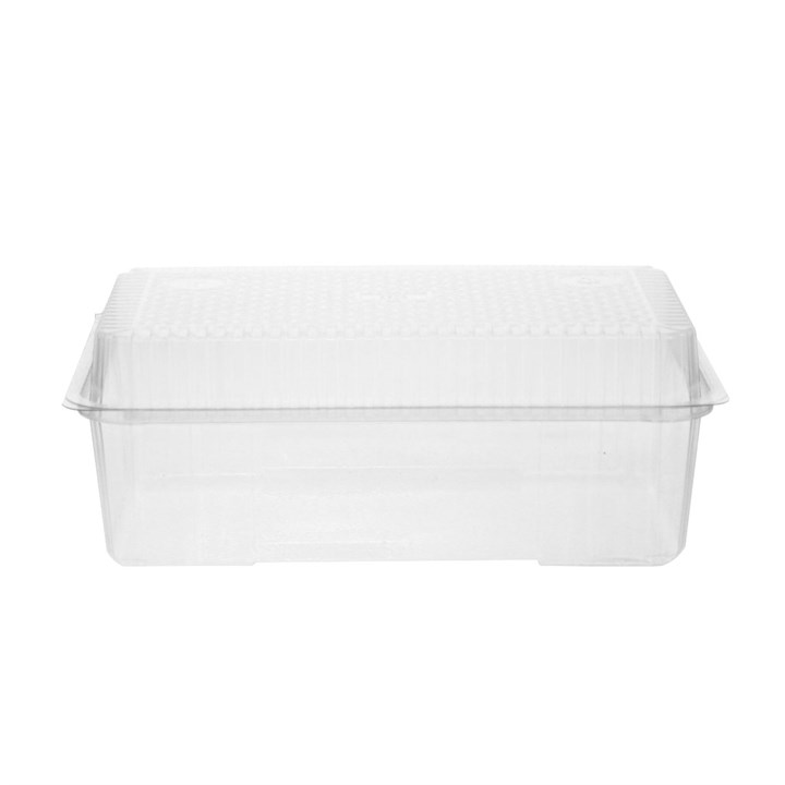 Clear Hinged Pack Container 274x224x85 160